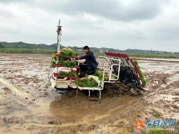 無人機、自動駕駛齊上陣 祁陽春耕有點“潮”3.png
