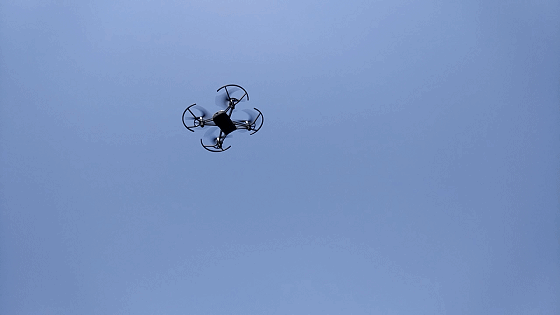 627f310728f4f0f16a69a9f907d57141.gif