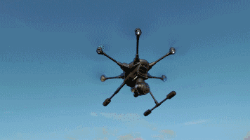 d0eda599fbae0bf92a9a283e8d79cbab.gif
